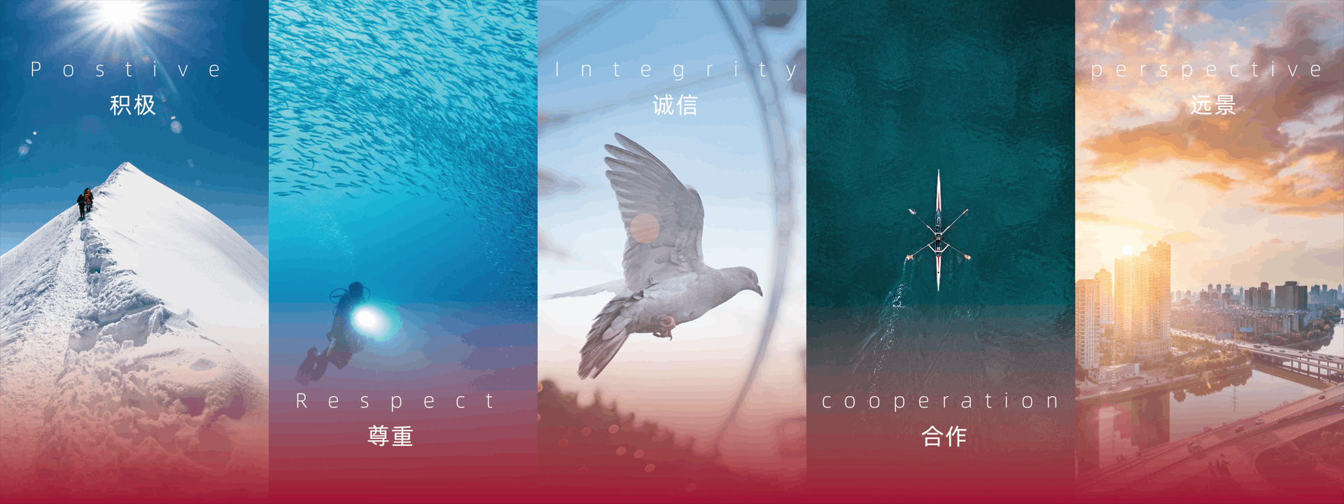 積極，尊重，誠信，合作，遠景