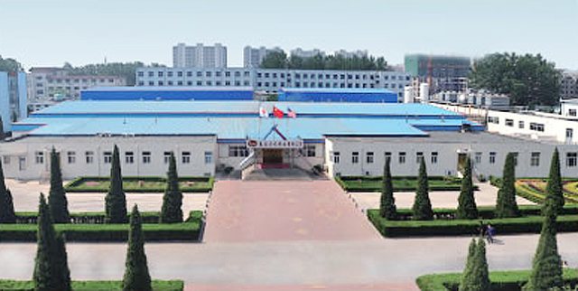 R . 山東禹城龍力