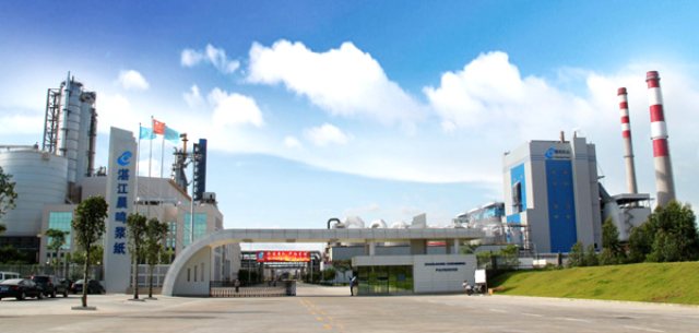 U . 廣東湛江晨鳴紙業(yè)