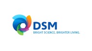 DSM